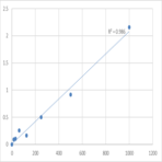 Human Ras-related protein Rab-3B (RAB3B) ELISA Kit