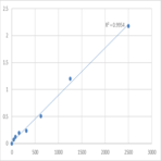 Human Ras-related protein Rab-10 (RAB10) ELISA Kit