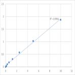 Human Peroxidasin homolog (PXDN) ELISA Kit