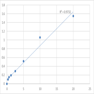 Human Protein kinase C zeta type (PRKCZ) ELISA Kit