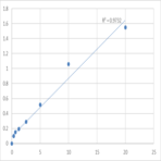 Human Protein kinase C zeta type (PRKCZ) ELISA Kit