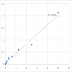 Human PDZ and LIM domain protein 1 (PDLIM1) ELISA Kit