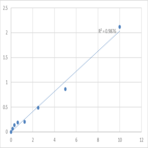 Human Palladin (PALLD) ELISA Kit