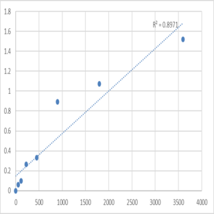 Human N-alpha-acetyltransferase 50, NatE catalytic subunit (NAT13) ELISA Kit