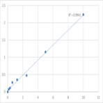 Mouse Protein Wnt-10b (WNT10B) ELISA Kit