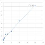 Human Matrix metalloproteinase 13 (MMP-13) ELISA Kit